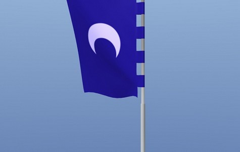 Vertical Flag pole preview image 1